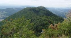 23042023 strahinjscica