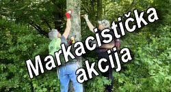 2006 22062026 markacisticka akcija
