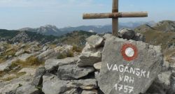 31052026 vaganski